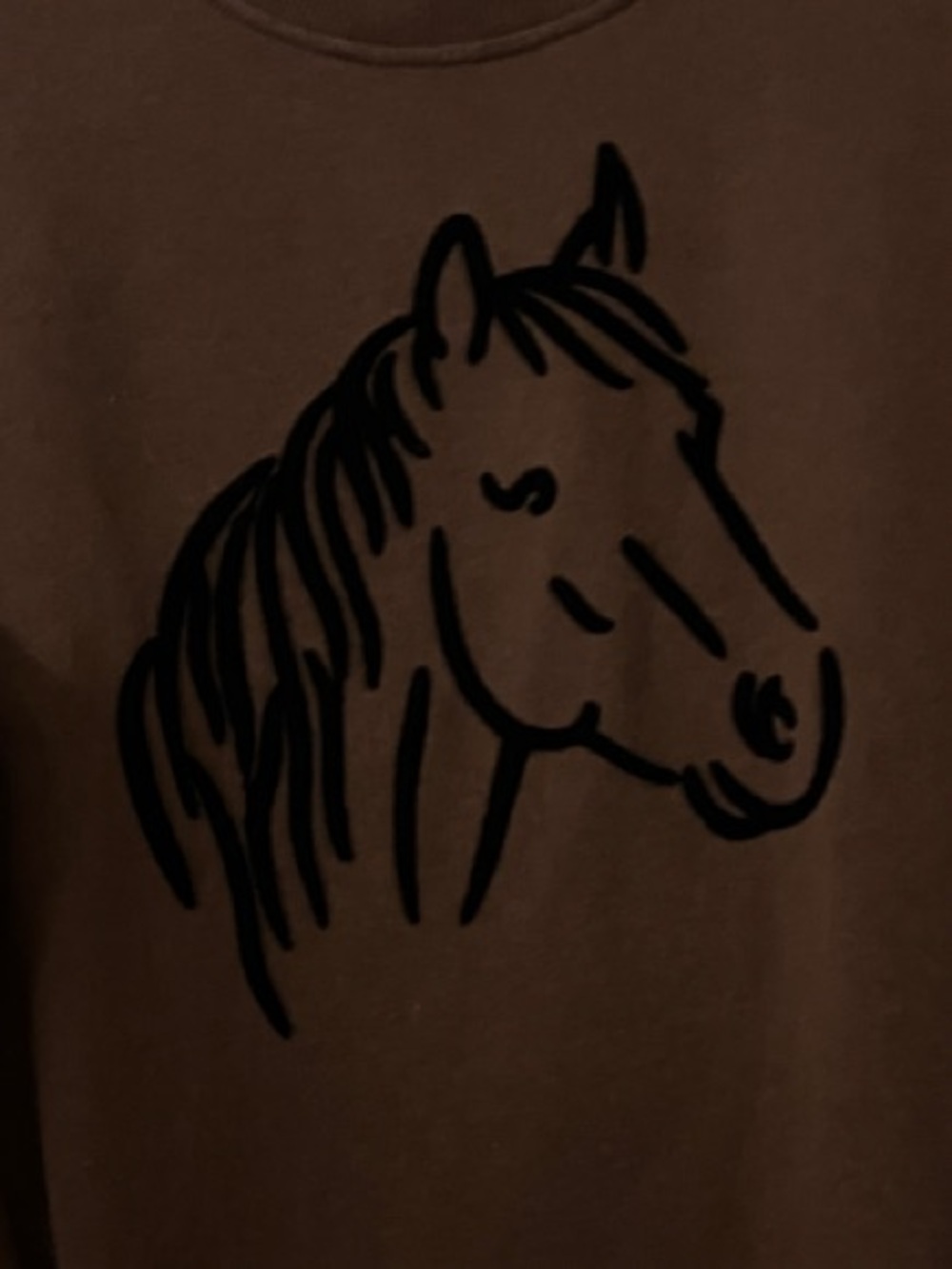 About A Horse Brown Graphic Crewneck Sweatshirt - Picture 4 of 5